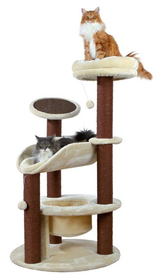 arbre a chat gros chat